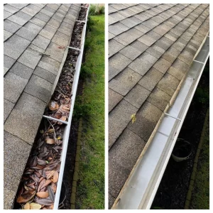 Gutter Cleaning Near Me