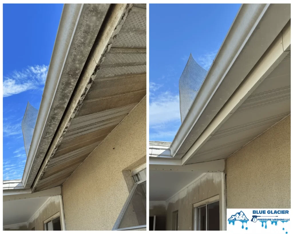 gutter-cleaning-venice-florida
