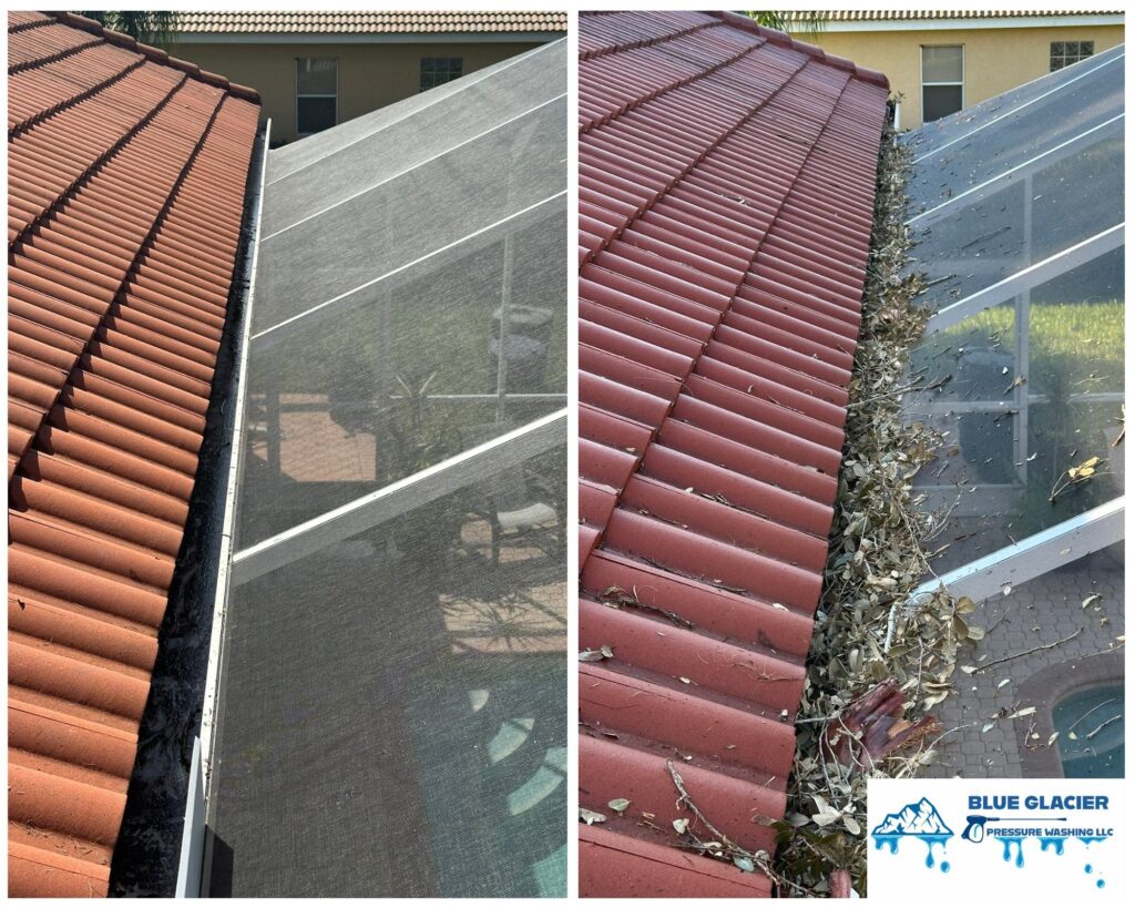 Gutter Cleaning